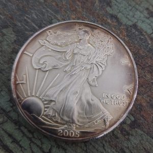 2005 SILVER EAGLE NICELY TONED BEAUTIFUL COIN